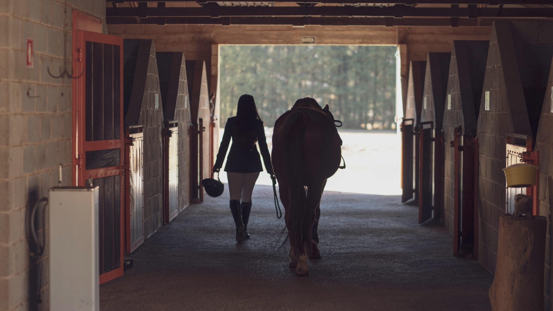Introductory Equine Care and Management